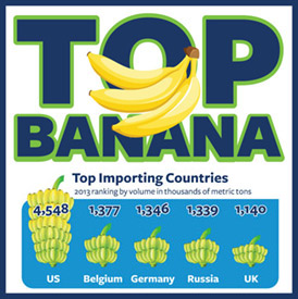 banana_infographic_tease-274x274px