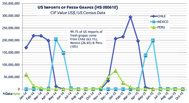 Fresh grapes imported from Chile, top US source for this top agricultural import