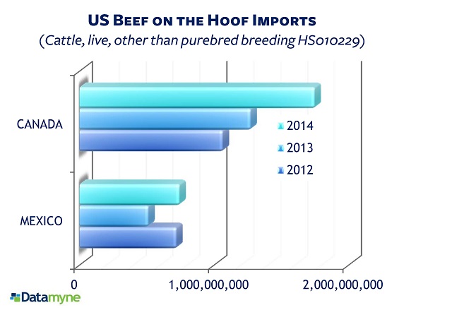 US imports of beef on the hoof before and after COOL